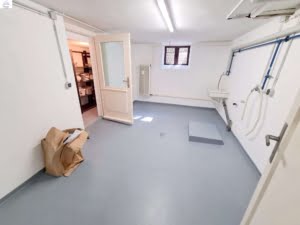 VERMIETET!Was für ein Villenanwesen mit Traumgarten! Mehrgenerat.haus + Einliegerwohnung + 2 Garagen
