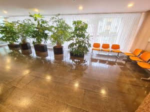 VERMIETET! Schicke + lichtdurchflutete 2 Zimmer Wohnung mit großem Südbalkon – Sachsenhausen + POOL+SAUNA im Haus!