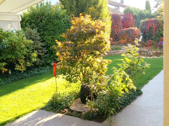 VERMIETET!Perfekte Lage am Berger Hang! 6 Zimmer + 2 Bäder auf 2 Etagen mit eigenem Garten + Teich!
