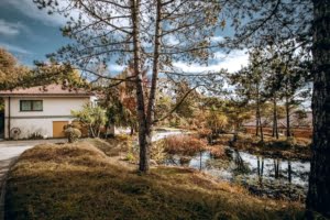 VERKAUFT! Prachtvolle Villa mit Schwimmbad und Parkgrundstück mit Teich – Hollywood-Feeling im Rheingau!
