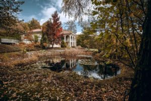 VERKAUFT! Prachtvolle Villa mit Schwimmbad und Parkgrundstück mit Teich – Hollywood-Feeling im Rheingau!