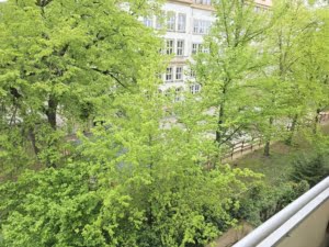 VERMIETET! Top Nordendlage! Sonnige 3-Zimmer mit Südbalkon – nahe Berger Straße
