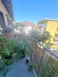 VERMIETET! Hell! 3 Zimmerwohnung mit Balkon und Wannenbad – Bornheim Grenze Ostend – EZB nah