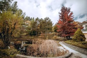 VERKAUFT! Prachtvolle Villa mit Schwimmbad und Parkgrundstück mit Teich – Hollywood-Feeling im Rheingau!