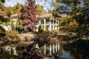 VERKAUFT! Prachtvolle Villa mit Schwimmbad und Parkgrundstück mit Teich – Hollywood-Feeling im Rheingau!