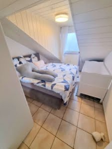 VERMIETET! Kleine gemütliche 2 Zimmer Dachgeschosswohnung – direkt gegenüber Klinikum OF