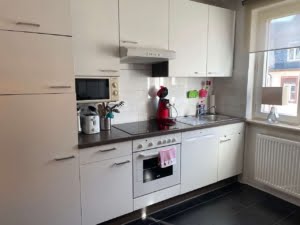 VERMIETET! Große neuw. 2 Zimmerwohnung mit Wohnküche und Loggia – zentral Nähe Uniklinik Niederrad
