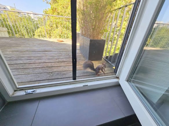 VERMIETET! Schickes 2-Zimmer Dachstudio mit großer Dachterrasse – ruhig + zentral Ostend