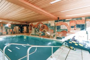 VERKAUFT! Prachtvolle Villa mit Schwimmbad und Parkgrundstück mit Teich – Hollywood-Feeling im Rheingau!