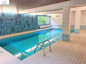 VERMIETET! sonnige 4,5 Zimmer mit Balkon – Parkett + Schwimmbad/Sauna im Haus – Niederad