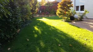 VERMIETET!Perfekte Lage am Berger Hang! 6 Zimmer + 2 Bäder auf 2 Etagen mit eigenem Garten + Teich!