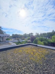 VERMIETET! Erstbezug! Ihr Traumhaus erwartet Sie! 3 sep. Wohnungen + großer Garten in Darmstadt/Kranichstein
