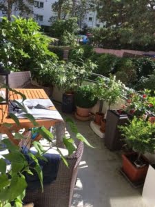 VERMIETET! Top gepflegte 2 Zimmerwohnung mit Südbalkon + TG-Platz – zentral in Oberrad