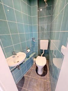 VERMIETET! Altbaucharme ! Gemütliche 2 Zimmerwohnung mit Wohnküche inkl. neuer EBK