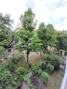 VERMIETET! Gemütliche 2 Zimmerwohnung mit Balkon – Top Lage Nordend bei Berger Str.