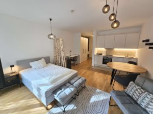 VERMIETET! Neubau 2020 – Ab 15.10.24 schick möbliertes 1-Zimmer Apt mit Balkon & Parkettboden- zentrOstend Lage