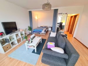 VERMIETET! WOW! TOP SKYLINEBLICK + POOL+SAUNA im Haus! Großes 1 Zimmer Apt. mit Balkon. –
