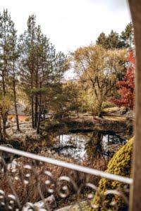 VERKAUFT! Prachtvolle Villa mit Schwimmbad und Parkgrundstück mit Teich – Hollywood-Feeling im Rheingau!