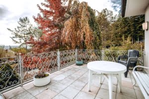 VERKAUFT! Prachtvolle Villa mit Schwimmbad und Parkgrundstück mit Teich – Hollywood-Feeling im Rheingau!