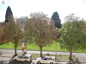 VERMIETET! Gemütliche 2 Zimmerwohnung mit Wohnküche – direkt gegenüber dem Klinikum OF