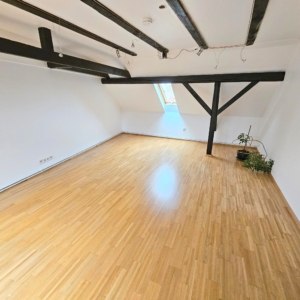 VERMIETET! Altbaucharme Pur! Großzügig + Gemütlich 2-Zimmer DG-Wohnung inkl. EBK – zentral in Oberrad