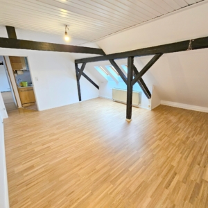VERMIETET! Altbaucharme Pur! Großzügig + Gemütlich 2-Zimmer DG-Wohnung inkl. EBK – zentral in Oberrad