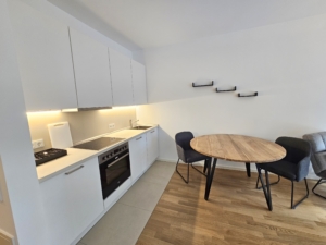 Möbliertes Wohnen auf Zeit! Neubau 2020 – Schick möbliertes 1-Zimmer Apartment mit Balkon & Parkettboden- zentrale Ostend Lage