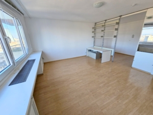 VERMIETET! TOP SKYLINEBLICK + POOL+SAUNA im Haus! Großes 1 Zimmer Apartment mit Balkon. – Sachsenhausen nahe Lokalbahnhof