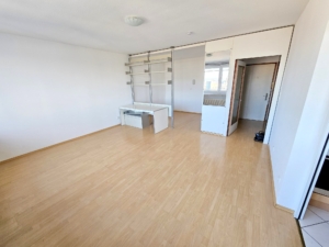 VERMIETET! TOP SKYLINEBLICK + POOL+SAUNA im Haus! Großes 1 Zimmer Apartment mit Balkon. – Sachsenhausen nahe Lokalbahnhof