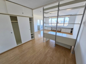 VERMIETET! TOP SKYLINEBLICK + POOL+SAUNA im Haus! Großes 1 Zimmer Apartment mit Balkon. – Sachsenhausen nahe Lokalbahnhof
