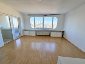 VERMIETET! TOP SKYLINEBLICK + POOL+SAUNA im Haus! Großes 1 Zimmer Apartment mit Balkon. – Sachsenhausen nahe Lokalbahnhof