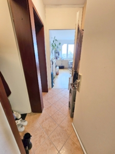 VERMIETET! WOW! TOP SKYLINEBLICK + POOL+SAUNA im Haus! Großes 1 Zimmer Apt. mit Balkon. – Sachsenhausen nahe Lokalbahnhof