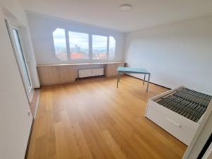 VERMIETET! WOW! TOP SKYLINEBLICK + POOL+SAUNA im Haus! Großes 1 Zimmer Apt. mit Balkon. – Sachsenhausen nahe Lokalbahnhof