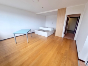 VERMIETET! WOW! TOP SKYLINEBLICK + POOL+SAUNA im Haus! Großes 1 Zimmer Apt. mit Balkon. – Sachsenhausen nahe Lokalbahnhof