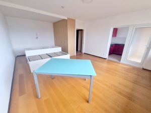 VERMIETET! WOW! TOP SKYLINEBLICK + POOL+SAUNA im Haus! Großes 1 Zimmer Apt. mit Balkon. – Sachsenhausen nahe Lokalbahnhof