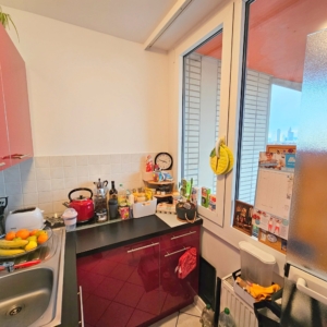 VERMIETET! WOW! TOP SKYLINEBLICK + POOL+SAUNA im Haus! Großes 1 Zimmer Apt. mit Balkon. – Sachsenhausen nahe Lokalbahnhof
