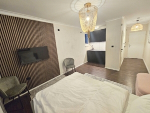 VERMIETET! Möbliertes Wohnen auf Zeit! Ab Sofort – gemütlich möbliertes hochwertiges 1 Zimmer Apartment nähe Bergerstraße