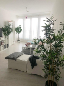 VERMIETET! Tolle 2 Zimmer Wohnung mit offener Küche inkl. Einbauküche und bodentiefen Fenstern – zentral in Langen