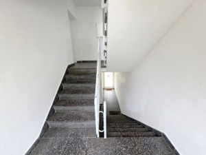 VERMIETET! Lichtdurchflutet + frisch renovierte 3-Zimmer Terrassenwohnung- Bornheim Grenze Ostend
