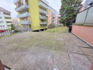 VERMIETET! Lichtdurchflutet + frisch renovierte 3-Zimmer Terrassenwohnung- Bornheim Grenze Ostend