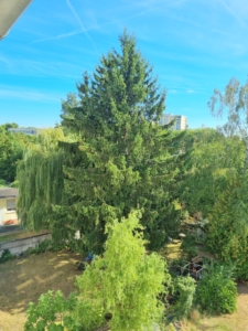 VERMIETET! Stylisch + viel Platz! Sonnige 3-Zimmer DG Wohnung: Kamin – 2 Bäder + Einbauküche – FFM-Fechenheim