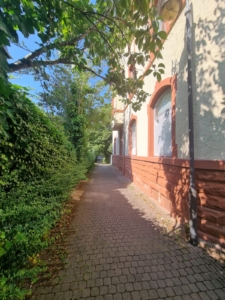 VERMIETET! Sonnige 3 Zimmer Altbauwohnung mit neuem Bad (2023) – ruhig + zentral in Heddernheim
