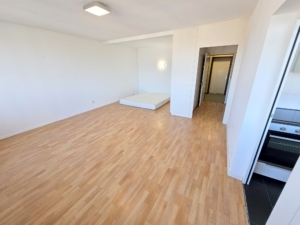 VERMIETET! WOW! TOP SKYLINEBLICK + POOL+SAUNA im Haus! Großes 1 Zimmer Apartment mit Balkon. – Sachsenhausen nahe Lokalbahnhof