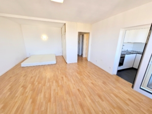 VERMIETET! WOW! TOP SKYLINEBLICK + POOL+SAUNA im Haus! Großes 1 Zimmer Apartment mit Balkon. – Sachsenhausen nahe Lokalbahnhof