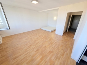 VERMIETET! WOW! TOP SKYLINEBLICK + POOL+SAUNA im Haus! Großes 1 Zimmer Apartment mit Balkon. – Sachsenhausen nahe Lokalbahnhof