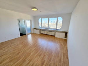 VERMIETET! WOW! TOP SKYLINEBLICK + POOL+SAUNA im Haus! Großes 1 Zimmer Apartment mit Balkon. – Sachsenhausen nahe Lokalbahnhof