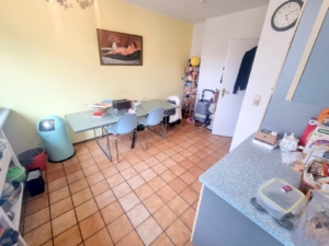 VERMIETET! Großzügige, sonnige 2 Zimmerwohnung mit Wohnküche und Balkon – Bornheim Grenze Ostend