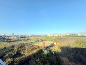 VERMIETET! Ihr neues Zuhause: Schicke+moderne Doppelhaushälfte 5 Zimmer + 3 Bäder + 2 Balkone + 2 x Terrasse + Garten in Frankfurt-Oberrad