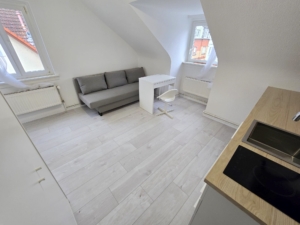 VERMIETET! Frisch renoviert + neu möbliert! Kleines, gemütliches 1 Zimmer Apartment – Frankfurt-Griesheim