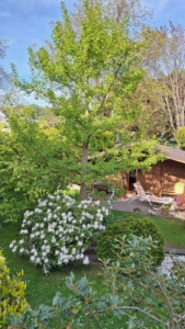 Freistehendes Einfamilienhaus mit großem Garten + Garage+ Gartenhaus – Bruchköbel-Niederissigheim